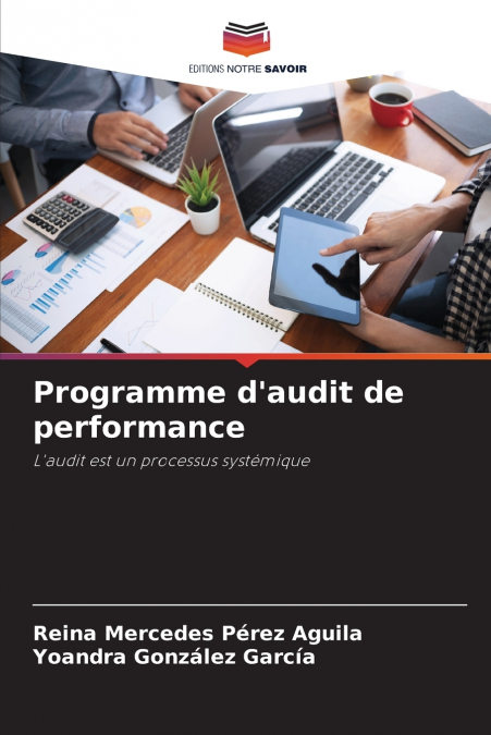 Programme d’audit de performance