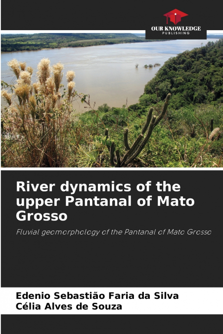 River dynamics of the upper Pantanal of Mato Grosso