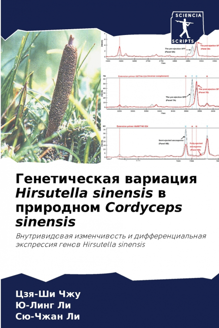 Генетическая вариация Hirsutella sinensis в природном Cordyceps sinensis