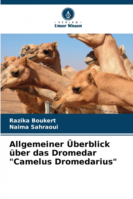 Allgemeiner Überblick über das Dromedar 'Camelus Dromedarius'