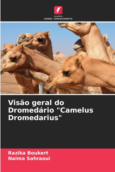 Visão geral do Dromedário 'Camelus Dromedarius'