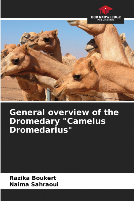 General overview of the Dromedary 'Camelus Dromedarius'