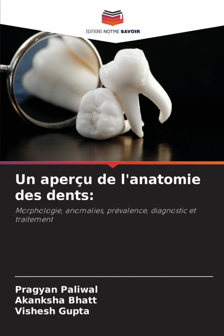 Un aperçu de l’anatomie des dents