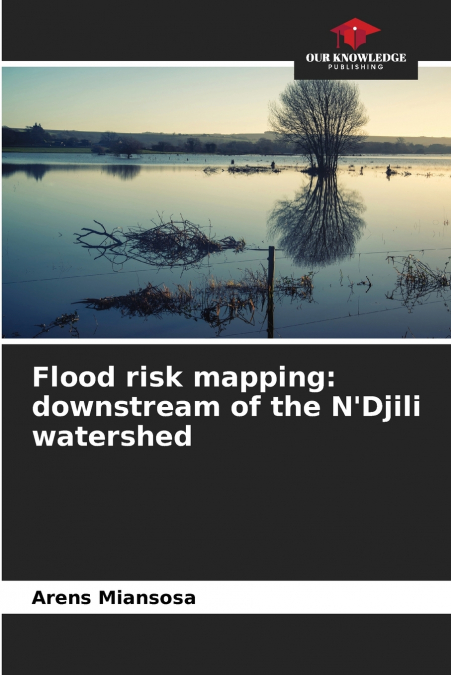 Flood risk mapping