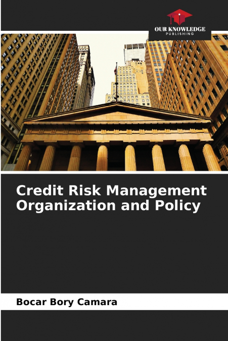 Credit Risk Management Organization and Policy