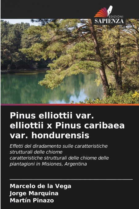 Pinus elliottii var. elliottii x Pinus caribaea var. hondurensis