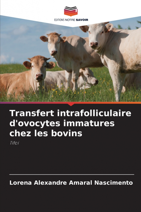 Transfert intrafolliculaire d’ovocytes immatures chez les bovins