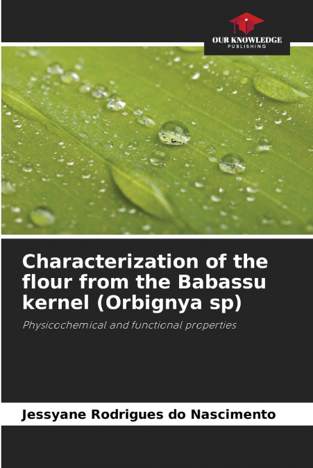 Characterization of the flour from the Babassu kernel (Orbignya sp)