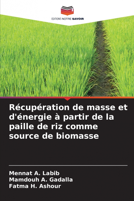Récupération de masse et d’énergie à partir de la paille de riz comme source de biomasse