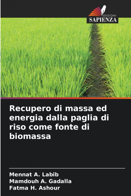 Recupero di massa ed energia dalla paglia di riso come fonte di biomassa