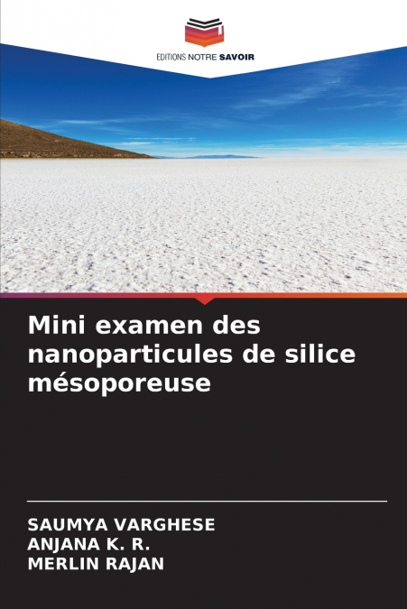 Mini examen des nanoparticules de silice mésoporeuse