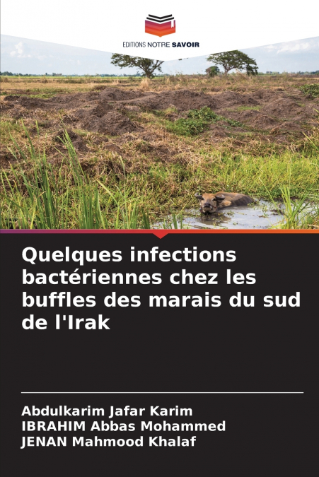 Quelques infections bactériennes chez les buffles des marais du sud de l’Irak
