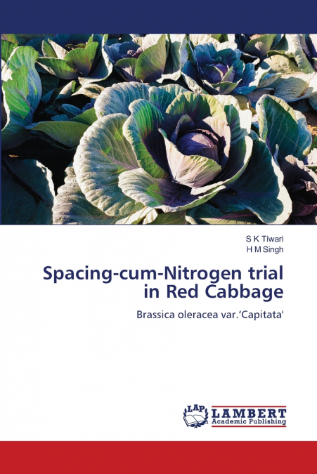Spacing-cum-Nitrogen trial in Red Cabbage