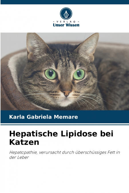 Hepatische Lipidose bei Katzen