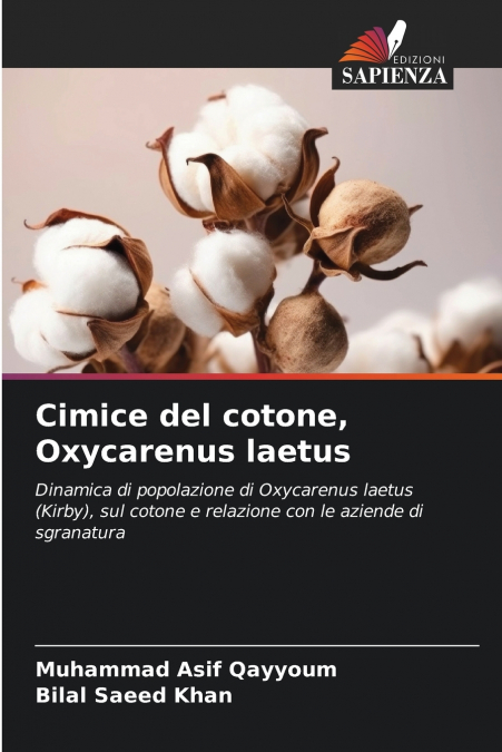 Cimice del cotone, Oxycarenus laetus