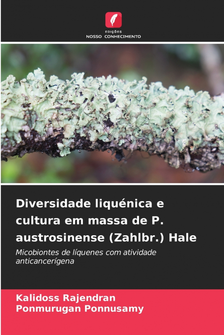 Diversidade liquénica e cultura em massa de P. austrosinense (Zahlbr.) Hale