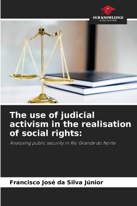 The use of judicial activism in the realisation of social rights