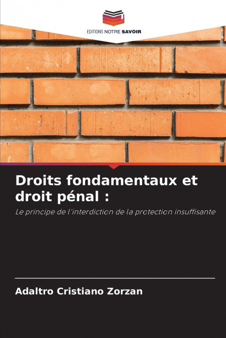 Droits fondamentaux et droit pénal