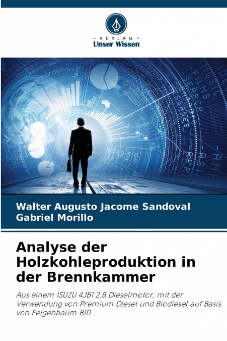Analyse der Holzkohleproduktion in der Brennkammer