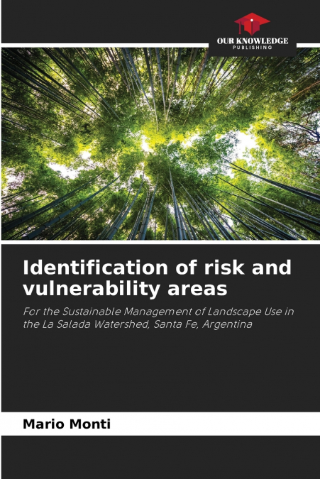 Identification of risk and vulnerability areas