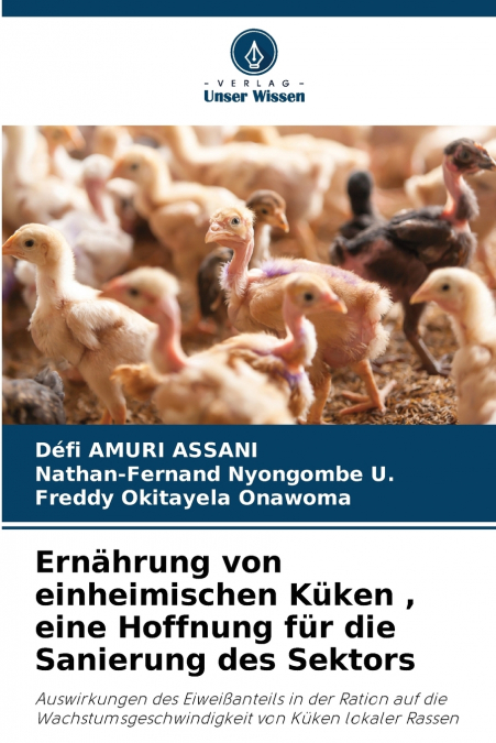 Ernährung von einheimischen Küken , eine Hoffnung für die Sanierung des Sektors