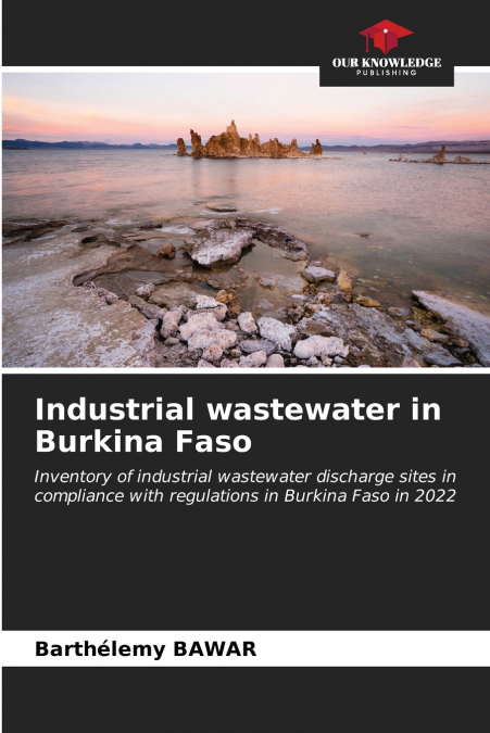 Industrial wastewater in Burkina Faso