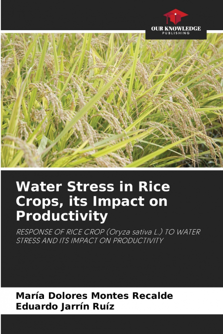 Water Stress in Rice Crops, its Impact on Productivity