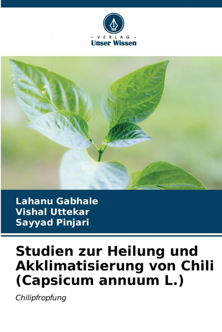 Studien zur Heilung und Akklimatisierung von Chili (Capsicum annuum L.)