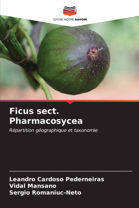 Ficus sect. Pharmacosycea