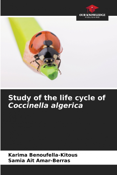 Study of the life cycle of Coccinella algerica
