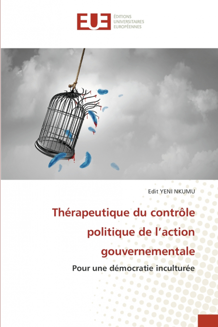 Thérapeutique du contrôle politique de l’action gouvernementale