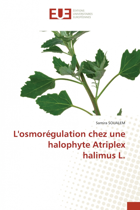 L’osmorégulation chez une halophyte Atriplex halimus L.