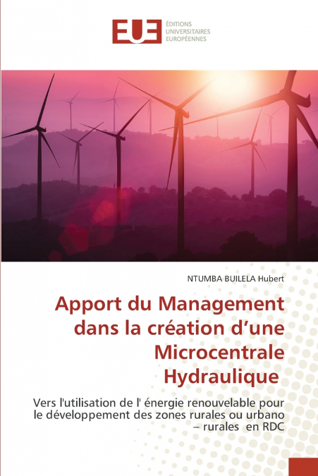 Apport du Management dans la création d’une Microcentrale Hydraulique