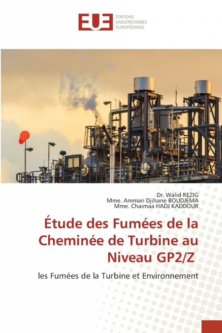 Étude des Fumées de la Cheminée de Turbine au Niveau GP2/Z