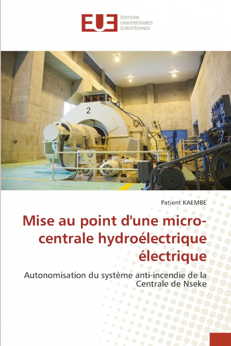 Mise au point d’une micro-centrale hydroélectrique électrique