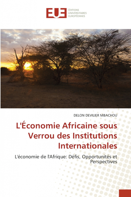 L’Économie Africaine sous Verrou des Institutions Internationales