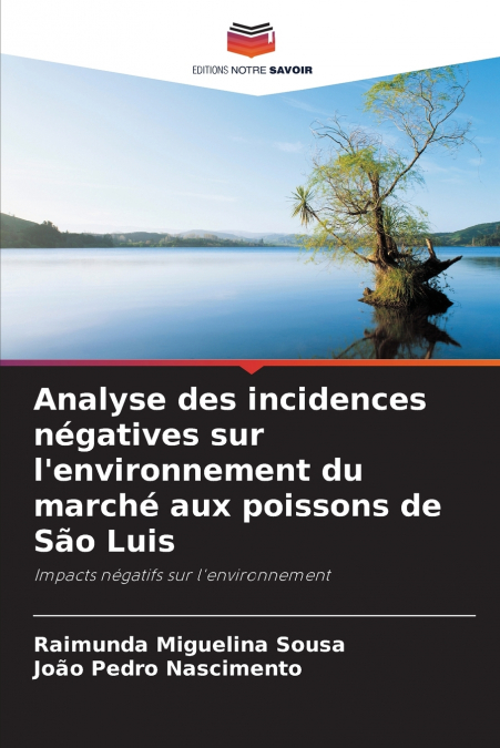 Analyse des incidences négatives sur l’environnement du marché aux poissons de São Luis