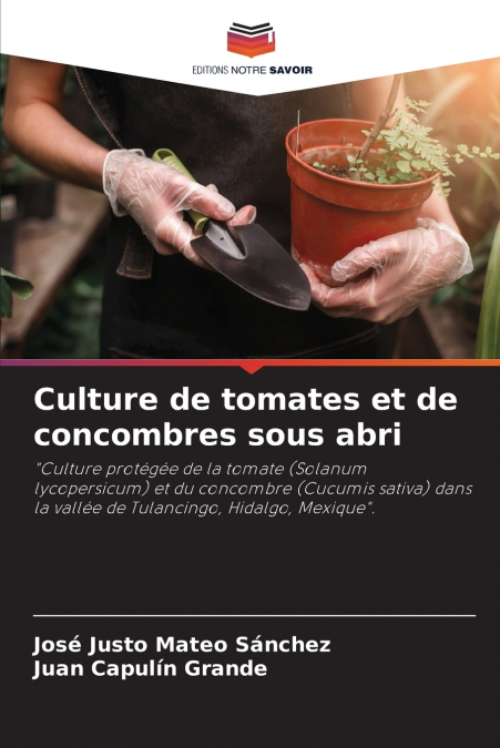 Culture de tomates et de concombres sous abri