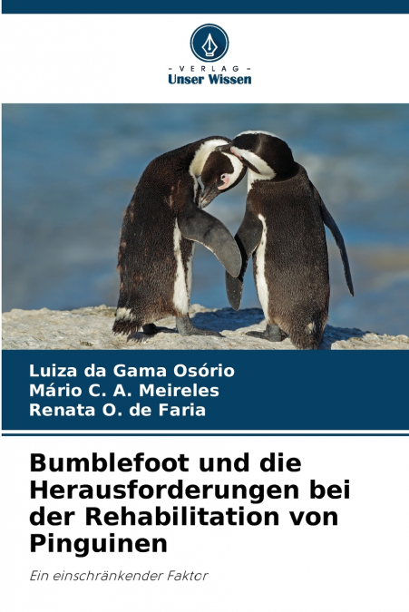 Bumblefoot und die Herausforderungen bei der Rehabilitation von Pinguinen