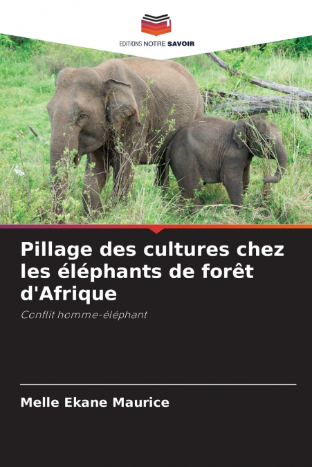 Pillage des cultures chez les éléphants de forêt d’Afrique