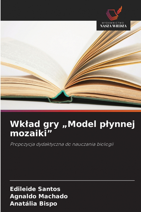 Wkład gry „Model płynnej mozaiki'