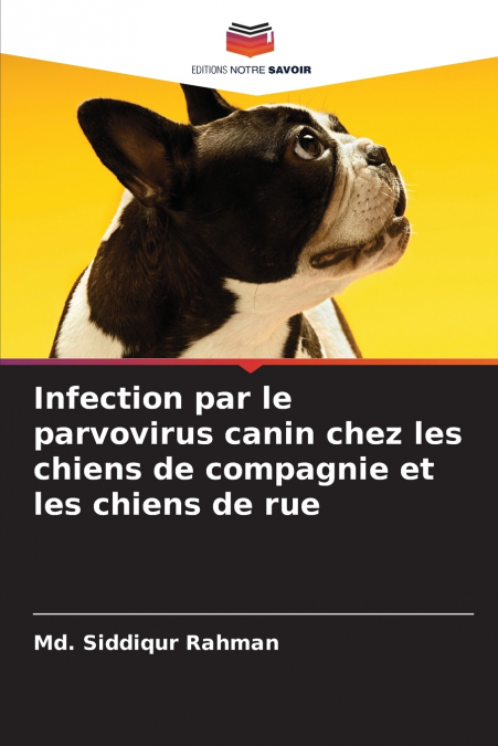 Infection par le parvovirus canin chez les chiens de compagnie et les chiens de rue