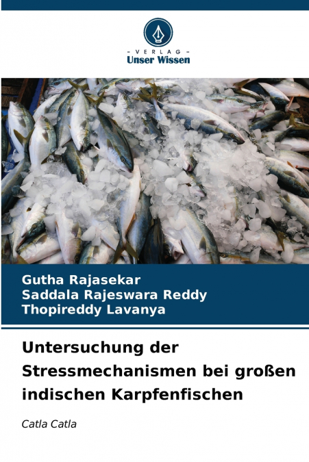 Untersuchung der Stressmechanismen bei großen indischen Karpfenfischen