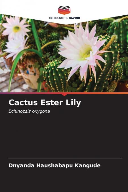 Cactus Ester Lily