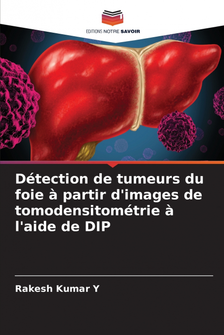 Détection de tumeurs du foie à partir d’images de tomodensitométrie à l’aide de DIP