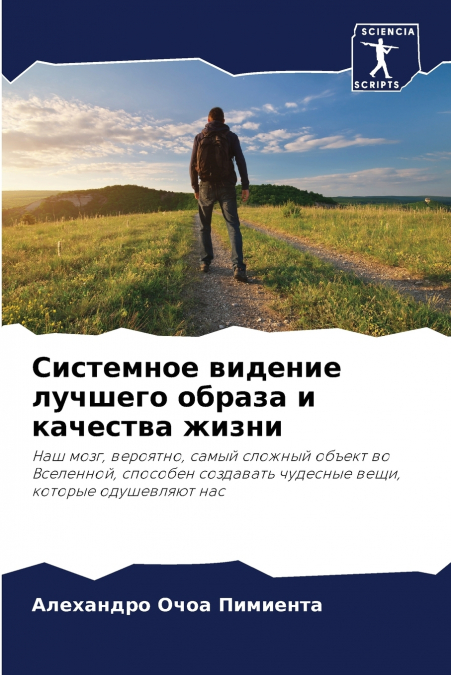 Системное видение лучшего образа и качества жизни