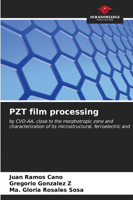 PZT film processing