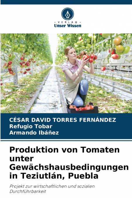 Produktion von Tomaten unter Gewächshausbedingungen in Teziutlán, Puebla