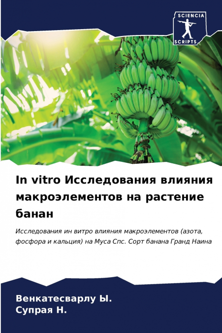 In vitro Исследования влияния макроэлементов на растение банан