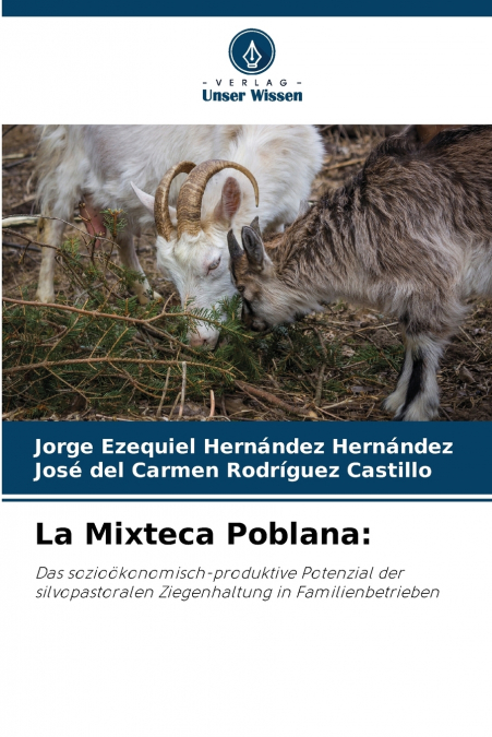 La Mixteca Poblana